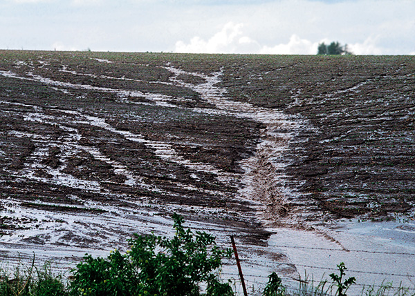 Heavy runoff from a field. Original photo courtesy of USDA NRCS