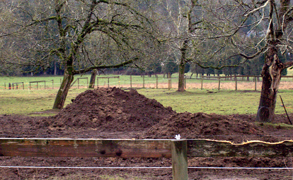 a messy pile of manure in a field