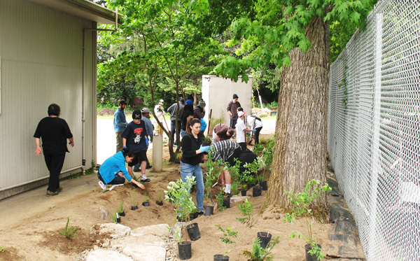 Volunteers planting a rain garden at a PIC grant project site