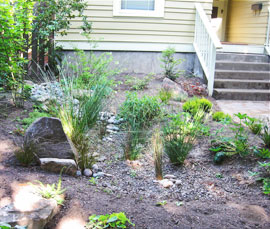 This rain garden handles stormwater -and- frames the front walkway nicely!