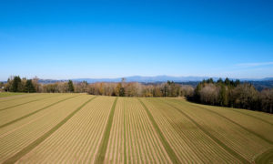 aerial of fields at Oxbow Farm
