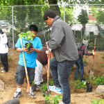 学生们聚集在一起帮助在一个受赠款资助的项目现场种植雨水花园。