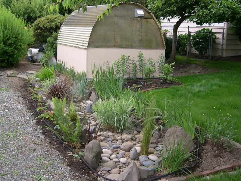 rain garden, lawn and shed