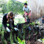 Deux jeunes femmes plantant un nouveau jardin de pluie