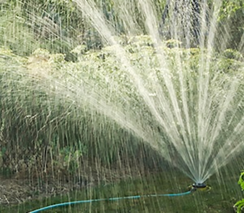 watering a yard with a sprinkler
