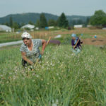 Farmers working in the fields at Headwaters