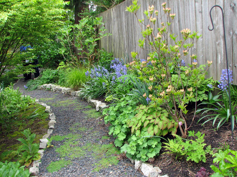 naturescaped yard with path