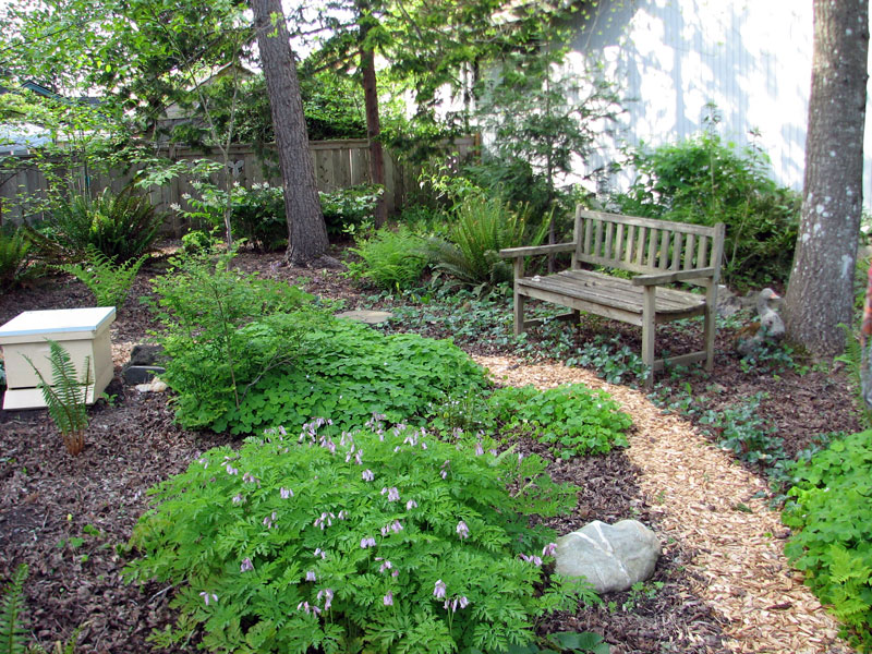 naturescaped yard with path and bench