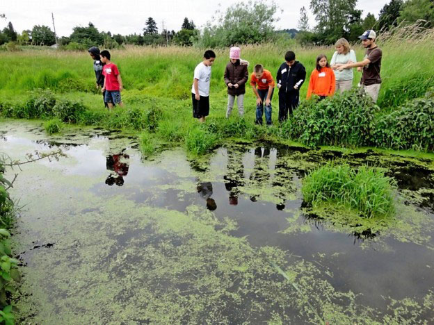 students on a field trip to a wetland