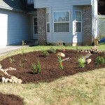 a completed residential rain garden