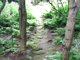 naturescaped path