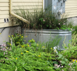 stormwater planter at EMSWCD