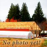barn being built