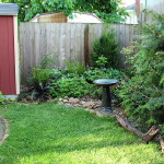 naturescaped yard with lawn
