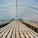 Propagation greenhouse at Headwaters farm