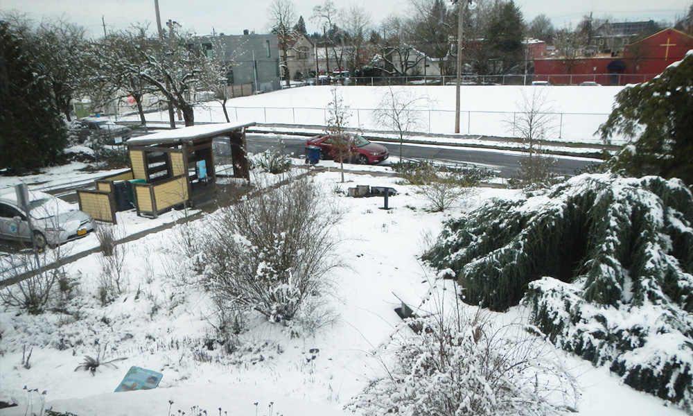 the EMSWCD yard covered in snow in 2017