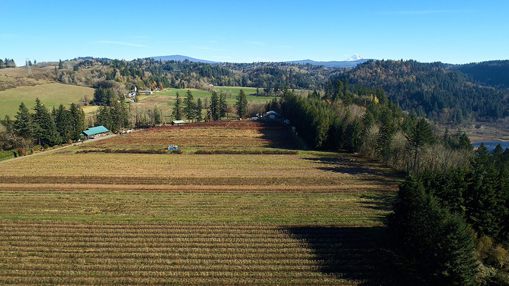 Aerial of Gordon Creek farm