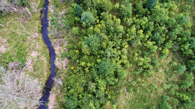 Une vue aérienne des efforts de restauration le long du ruisseau Johnson sur la propriété
