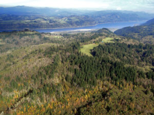 an aerial view of forested land, showing the Columbia River in the distance and more forest and receding mountains beyond