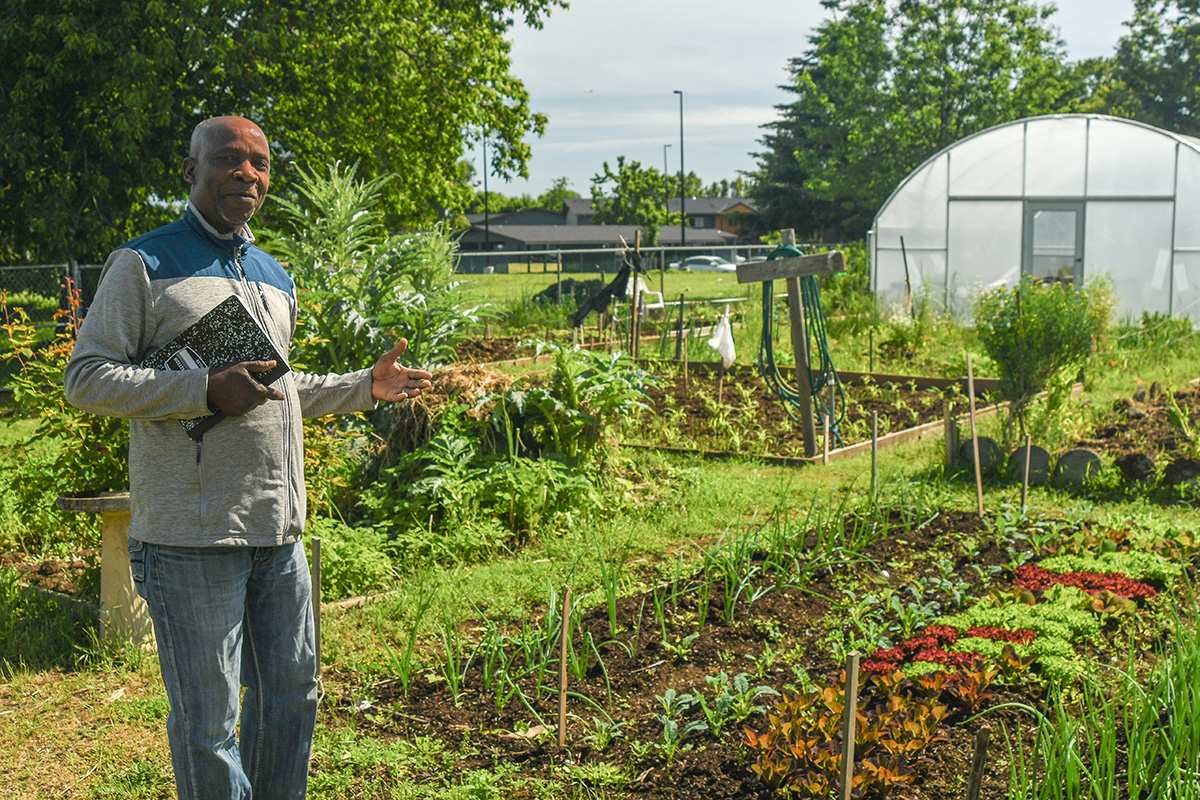 Eca-Etabo Wasongolo، المنظم المجتمعي لـ Our Village Garden، يعرض حديقته المتنامية في شمال بورتلاند. الصورة مجاملة من حديقة قريتنا.