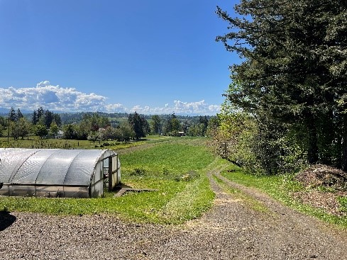 photo of Woodard Road farm property, with a greenhouse, gravel road, and distant field and trees visible