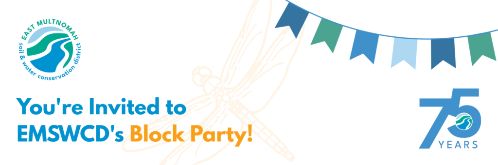 Festive block party invitation