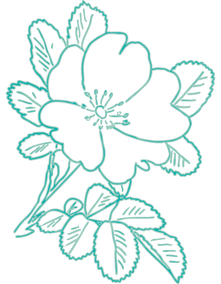 green flower illustration