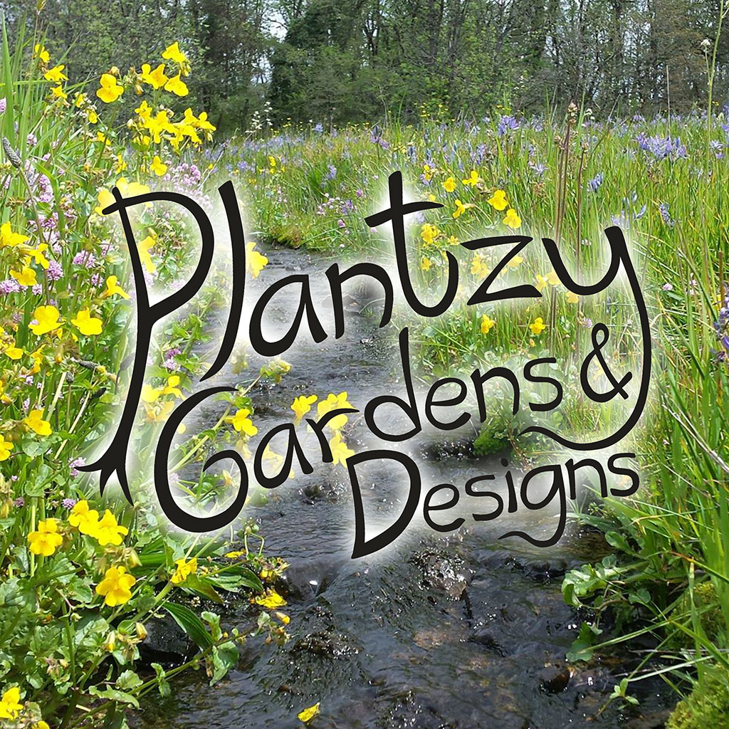 Logo featuring whimsical font dark text with glowing edges over a photo of flowers in a landscape, "Plantzy Gardens & Designs"